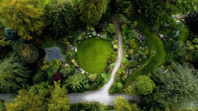 Impulse rund um Bodenkunde